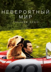 Невероятный мир глазами Энцо (2019) онлайн