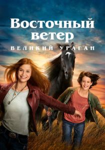 фильм Восточный ветер 5. Великий ураган (2021)