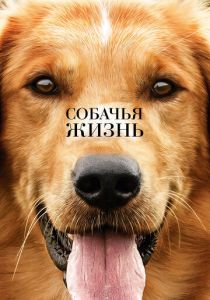 фильм Собачья жизнь (2017)