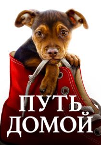 фильм Путь домой (2019)