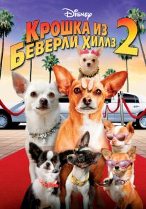 фильм Крошка из Беверли-Хиллз 2 (2011)