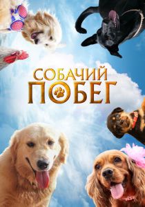 фильм Собачий побег (2024)